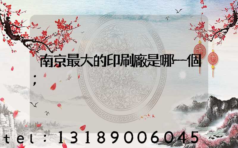南京最大的印刷廠是哪一個
